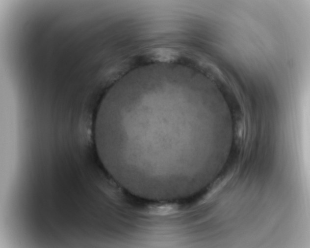 X0000096680553200802121214