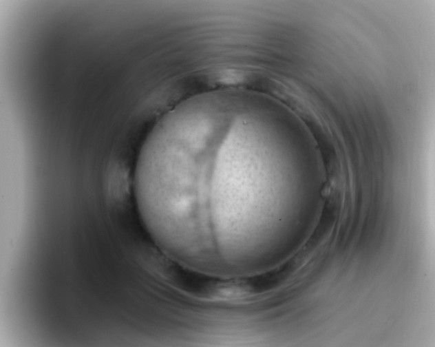 X0000096680555200802121214