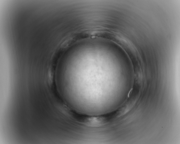 X0000096680558200802121214