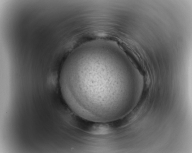 X0000096680559200802121214