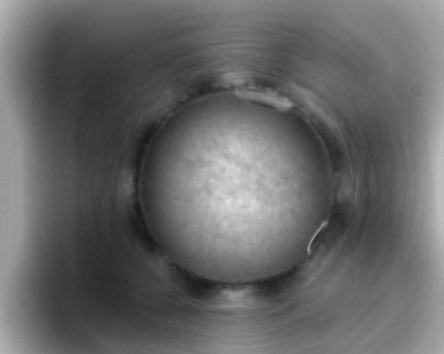 X0000096680560200802121214