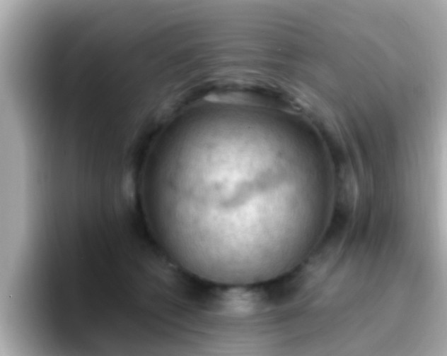 X0000096680562200802121214