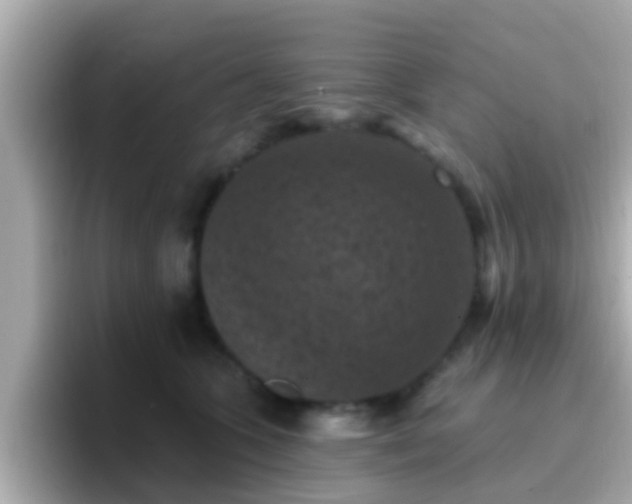X0000096680563200802121214