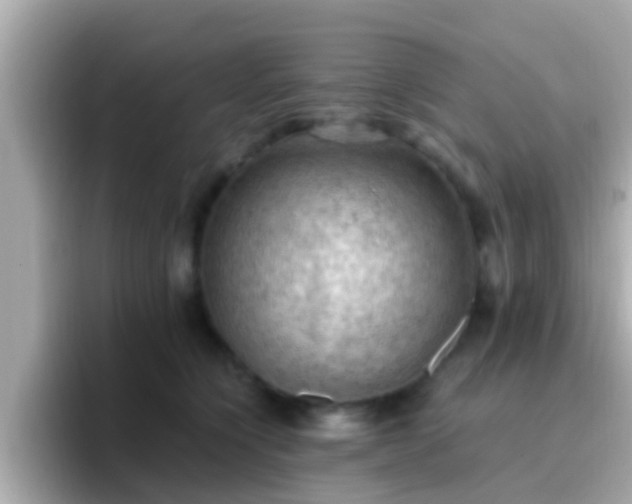 X0000096680564200802121214