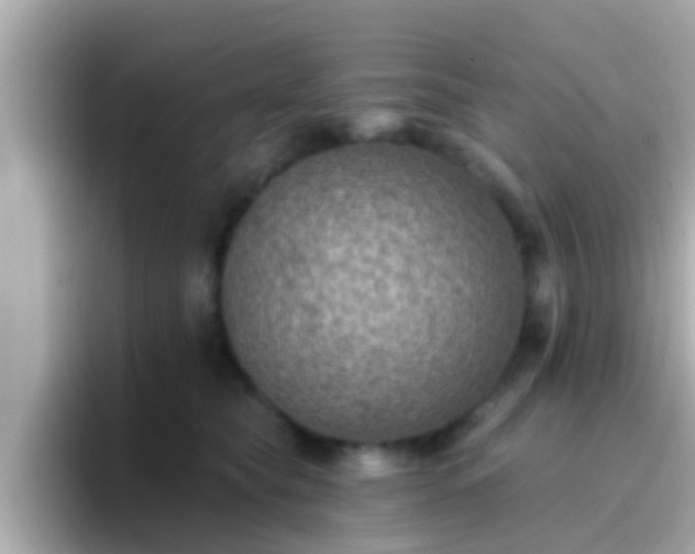 X0000096680565200802121214