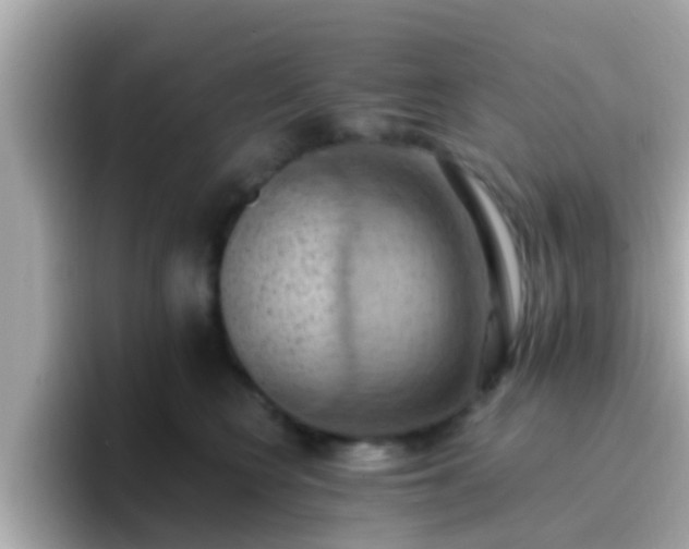X0000096680566200802121214