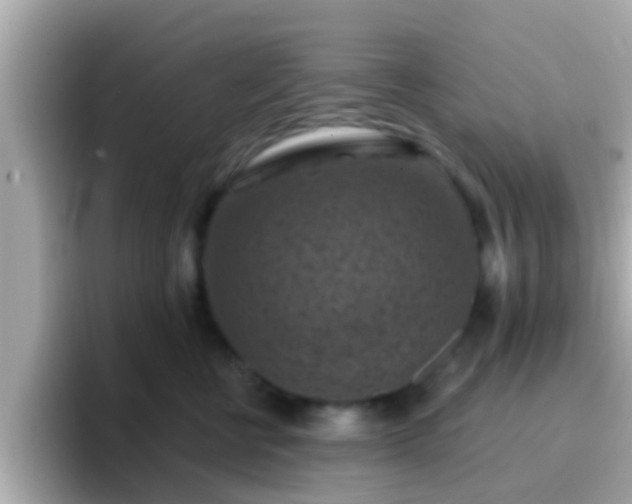X0000096680570200802121214
