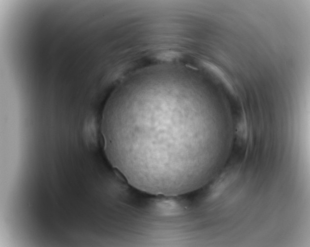 X0000096680572200802121214