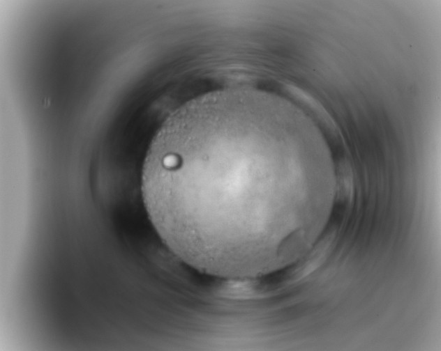 X0000096680573200802121214