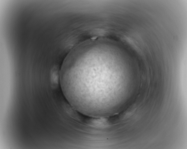 X0000096680576200802121214