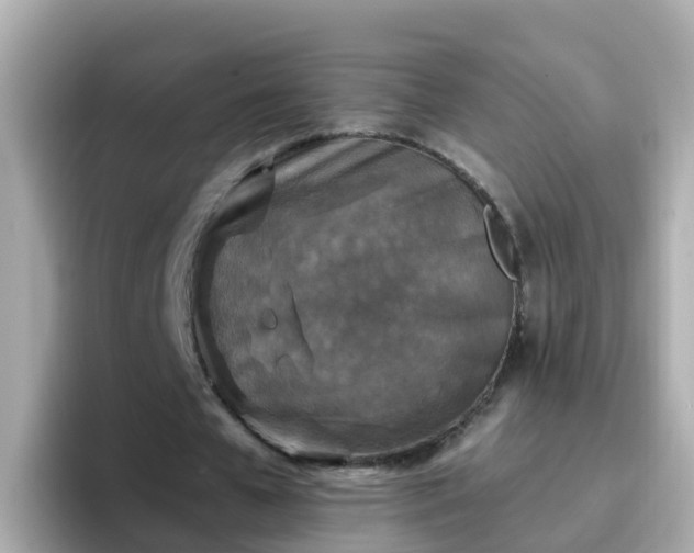 X0000096680577200802121213