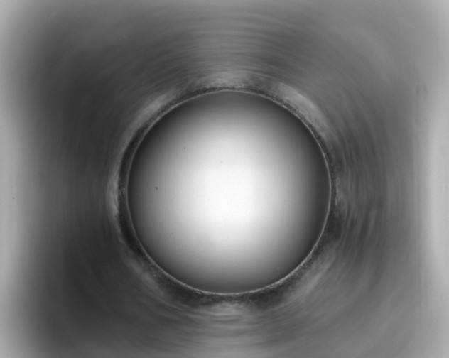 X0000096680578200802121213