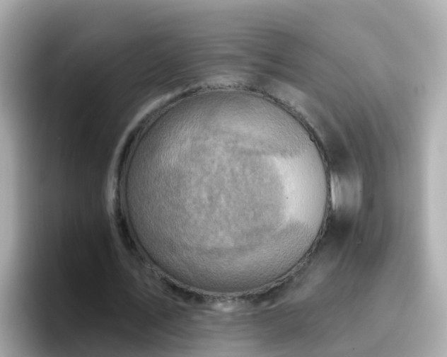 X0000096680579200802121213