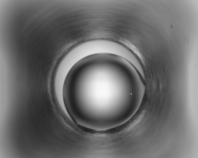 X0000096680581200802121213