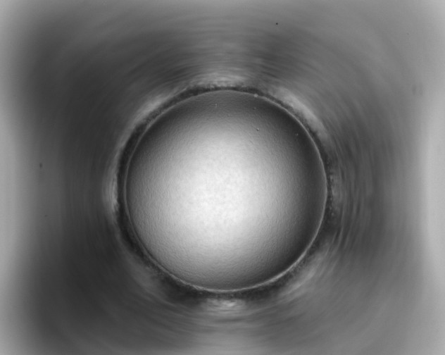 X0000096680582200802121213