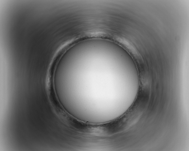 X0000096680583200802121213