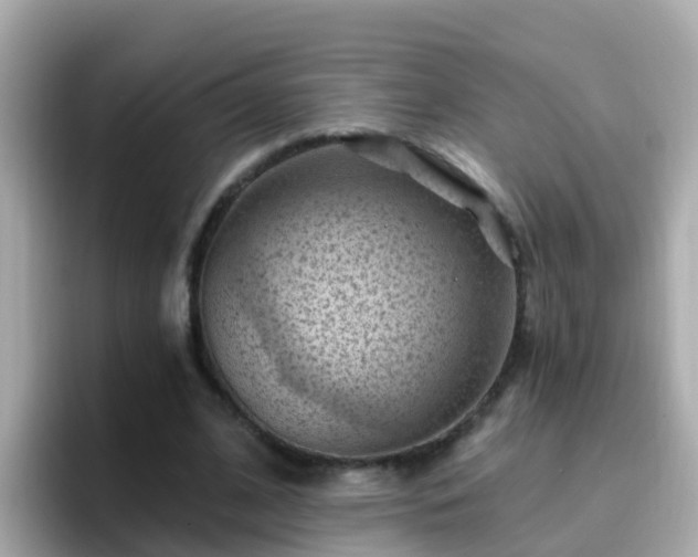 X0000096680584200802121213