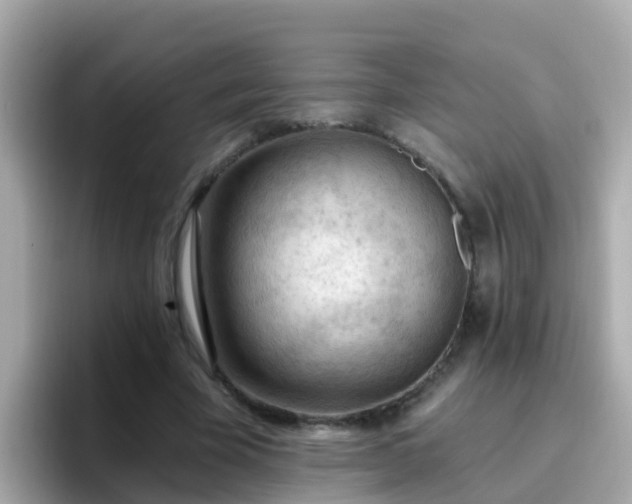 X0000096680585200802121213