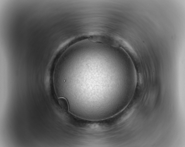 X0000096680588200802121213