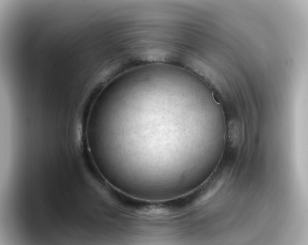X0000096680589200802121213