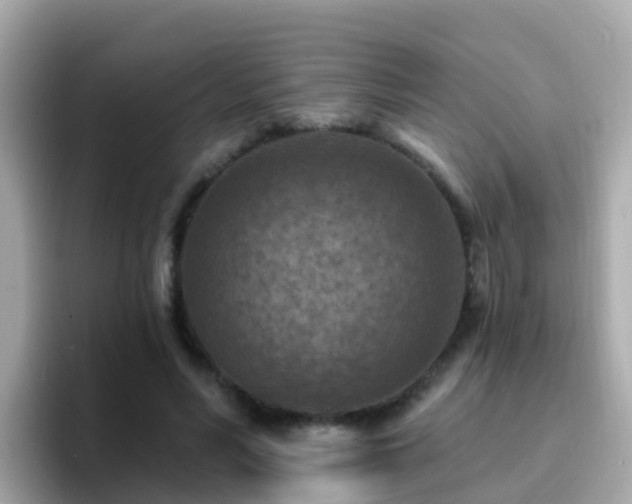 X0000096680590200802121213