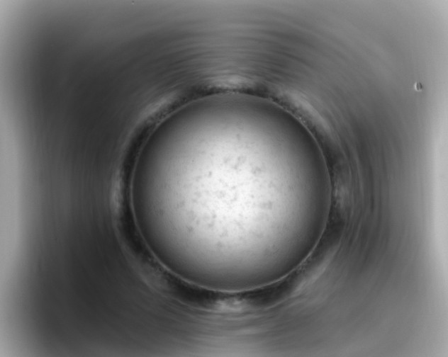 X0000096680591200802121213