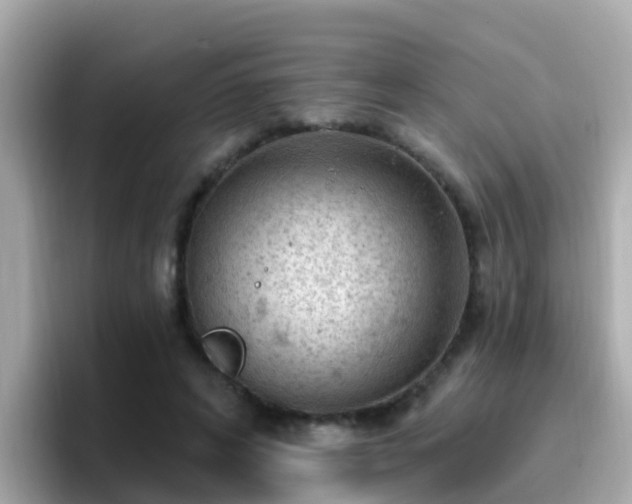 X0000096680592200802121213