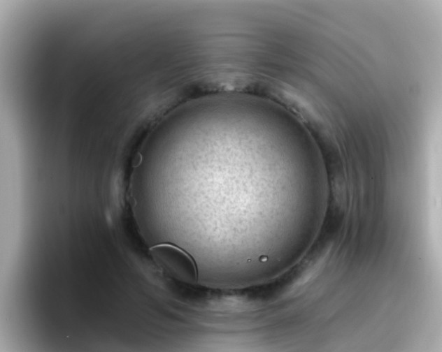 X0000096680594200802121213