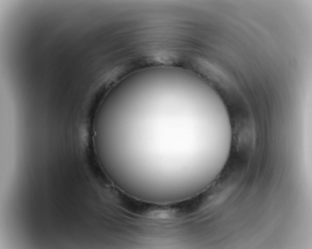 X0000096680595200802121213