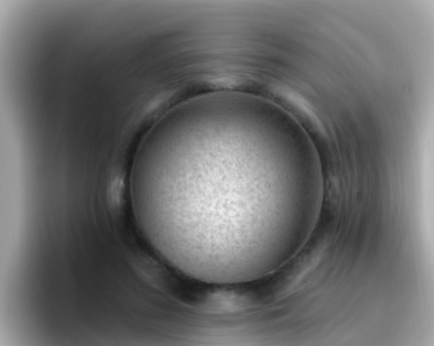X0000096680596200802121213
