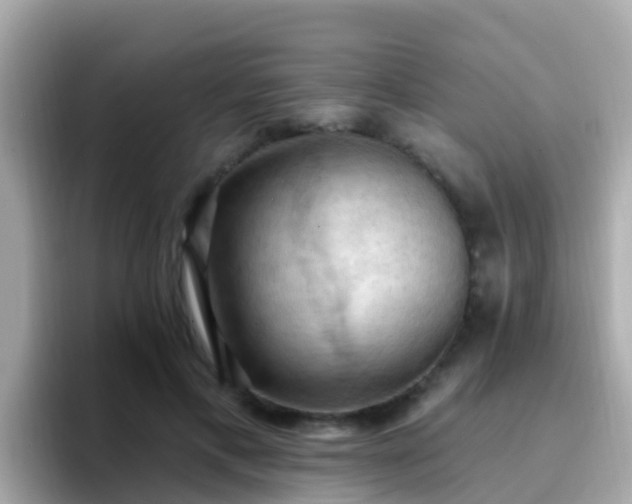 X0000096680597200802121213