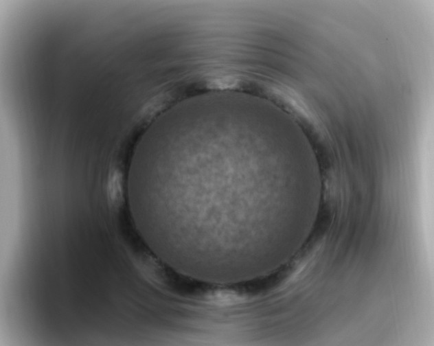 X0000096680598200802121213
