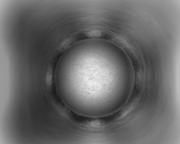 X0000096680600200802121213
