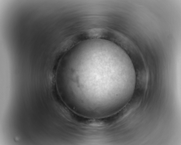 X0000096680601200802121213