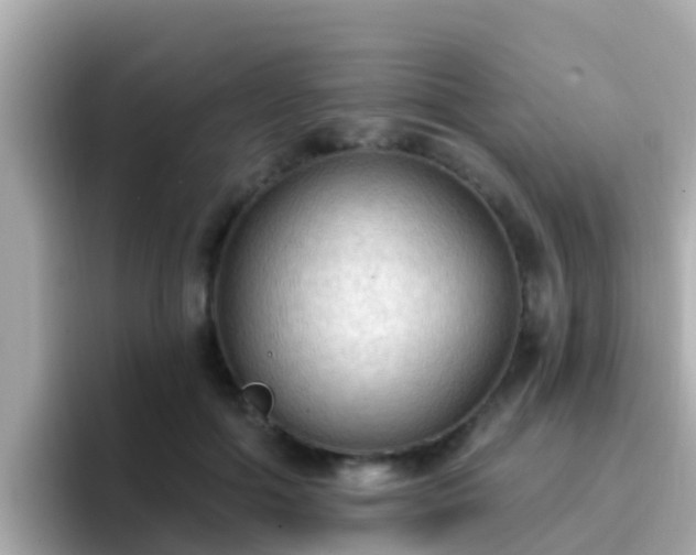 X0000096680602200802121213
