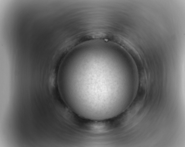 X0000096680604200802121213