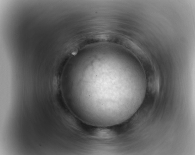 X0000096680605200802121213