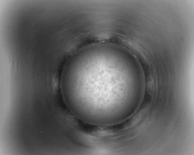 X0000096680608200802121213