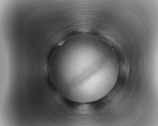 X0000096680609200802121213