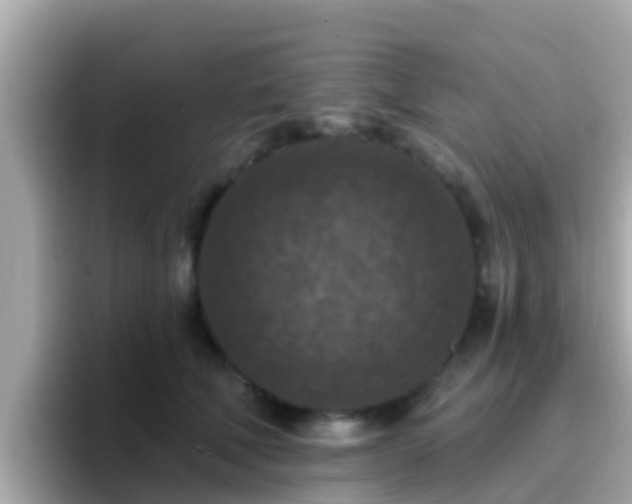 X0000096680610200802121213