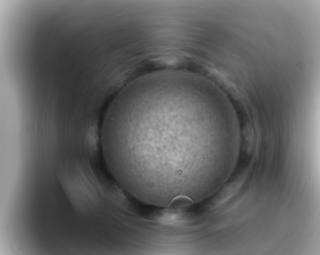X0000096680612200802121213