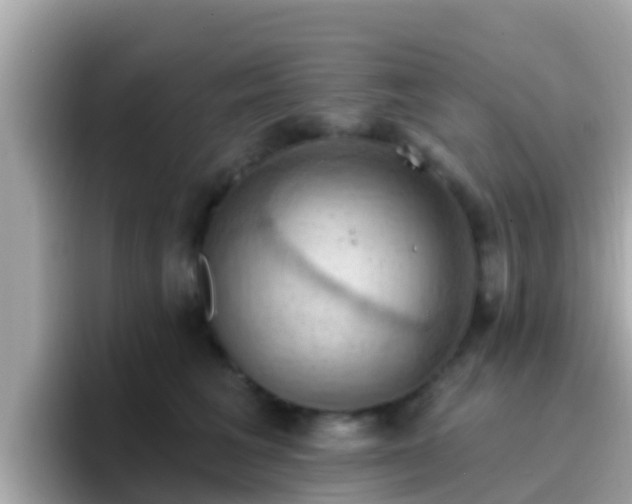 X0000096680613200802121213