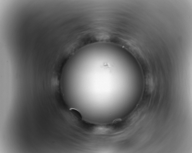 X0000096680614200802121213