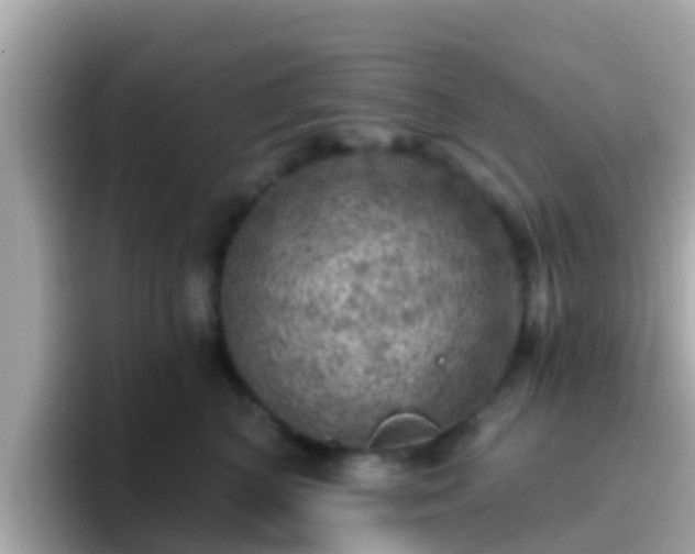 X0000096680616200802121213