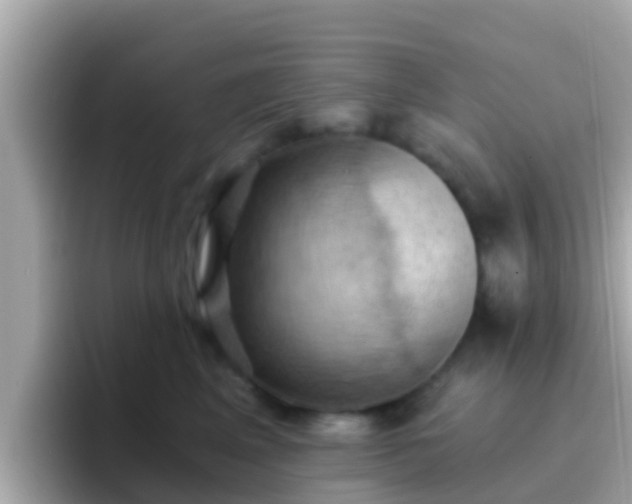 X0000096680617200802121213