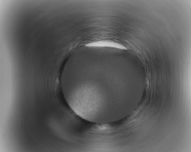X0000096680618200802121213