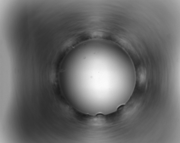 X0000096680619200802121213