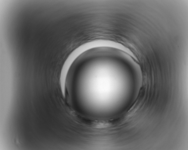 X0000096680621200802121213