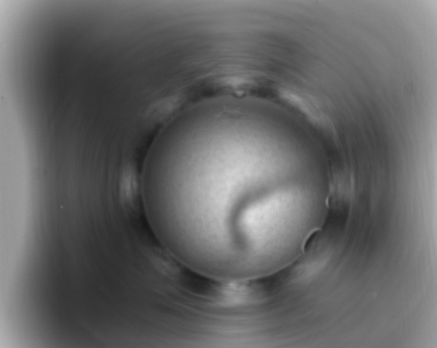 X0000096680623200802121213