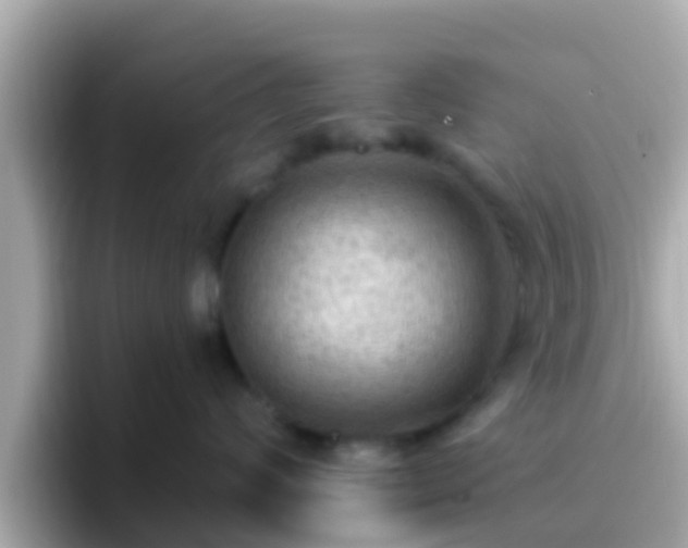 X0000096680624200802121213